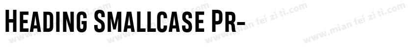 Heading Smallcase Pr字体转换